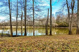 242 Katy Lake Rd, Jackson, GA 30233 - Photo 93