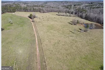 1000 Kansas-Jake Road, Waco, GA 30182 - Photo 1