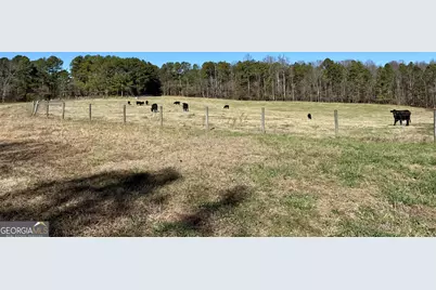 0 Kansas-Jake Road, Waco, GA 30182 - Photo 39