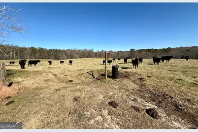 0 Kansas-Jake Road, Waco, GA 30182 - Photo 37
