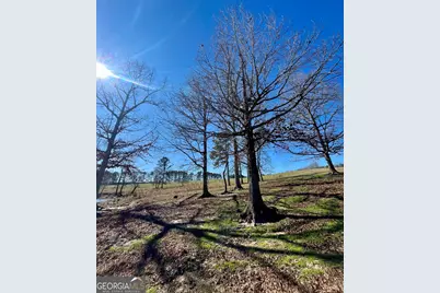 0 Kansas-Jake Road, Waco, GA 30182 - Photo 45