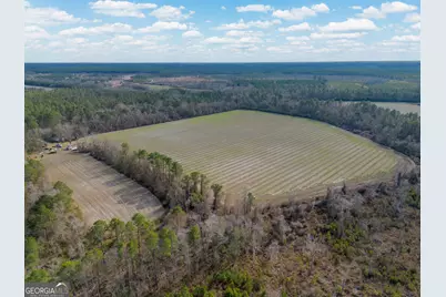 Tract 3 Reddish Road, Odum, GA 31555 - Photo 9