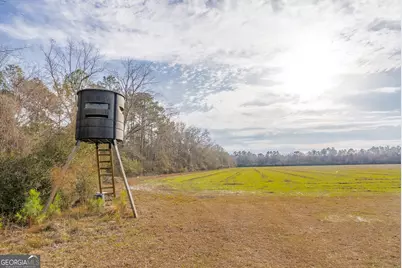 Tract 3 Reddish Road, Odum, GA 31555 - Photo 33