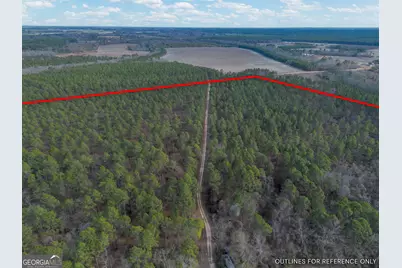 Tract 3 Reddish Road, Odum, GA 31555 - Photo 7