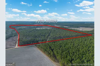 Tract 3 Reddish Road, Odum, GA 31555 - Photo 3