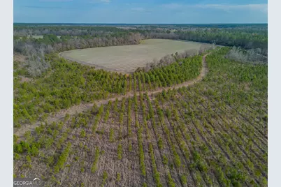 Tract 3 Reddish Road, Odum, GA 31555 - Photo 25