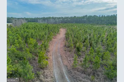 Tract 3 Reddish Road, Odum, GA 31555 - Photo 23
