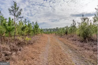 Tract 3 Reddish Road, Odum, GA 31555 - Photo 35