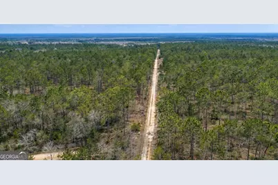 Tract 3 Reddish Road, Odum, GA 31555 - Photo 45