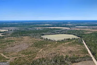 Tract 3 Reddish Road, Odum, GA 31555 - Photo 47