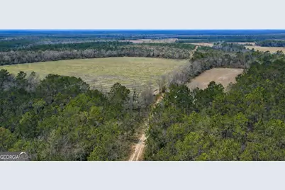 Tract 3 Reddish Road, Odum, GA 31555 - Photo 39