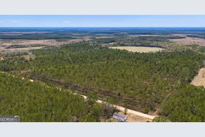 Tract 3 Reddish Road, Odum, GA 31555 - Photo 41