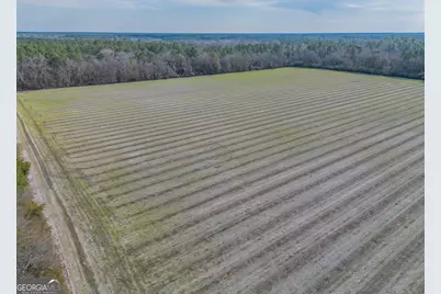 Tract 3 Reddish Road, Odum, GA 31555 - Photo 19