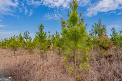 Tract 3 Reddish Road, Odum, GA 31555 - Photo 37