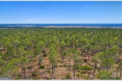 Tract 3 Reddish Road, Odum, GA 31555 - Photo 3