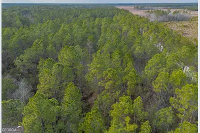Tract 3 Reddish Road, Odum, GA 31555 - Photo 29