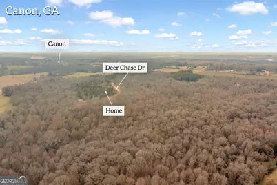 321 Deer Chase Drive, Canon, GA 30520 - Photo 43