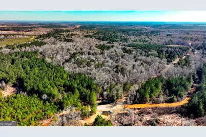 0 Crooked Road, Millen, GA 30442 - Photo 5