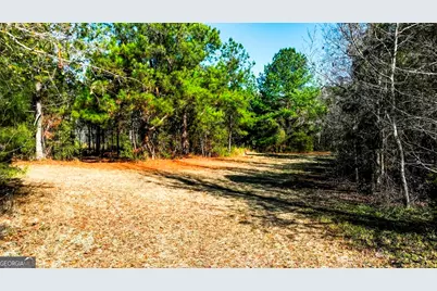 0 Crooked Road, Millen, GA 30442 - Photo 25