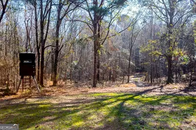 0 Crooked Road, Millen, GA 30442 - Photo 13