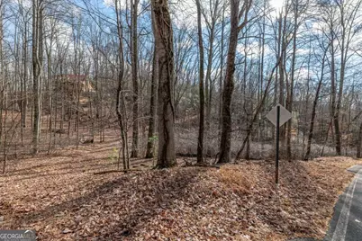 Lot 7 Squirrel Hunting Road, Morganton, GA 30560 - Photo 35