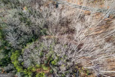 Lot 7 Squirrel Hunting Road, Morganton, GA 30560 - Photo 55
