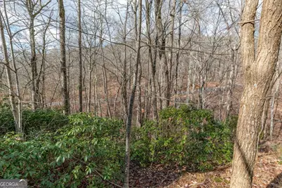 Lot 7 Squirrel Hunting Road, Morganton, GA 30560 - Photo 13