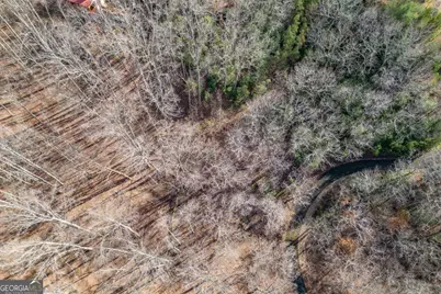 Lot 7 Squirrel Hunting Road, Morganton, GA 30560 - Photo 45