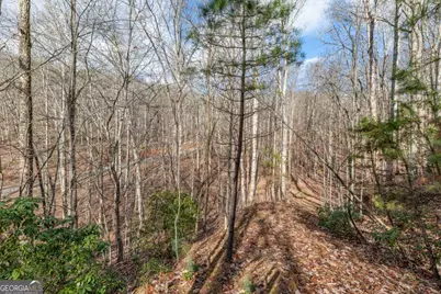 Lot 7 Squirrel Hunting Road, Morganton, GA 30560 - Photo 17