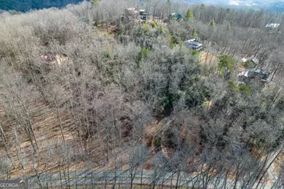 Lot 7 Squirrel Hunting Road, Morganton, GA 30560 - Photo 49