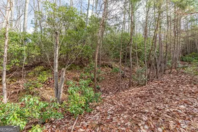 Lot 7 Squirrel Hunting Road, Morganton, GA 30560 - Photo 23