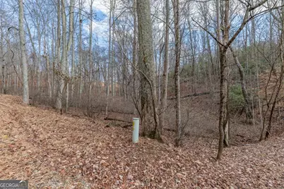 Lot 7 Squirrel Hunting Road, Morganton, GA 30560 - Photo 27