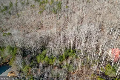 Lot 7 Squirrel Hunting Road, Morganton, GA 30560 - Photo 59