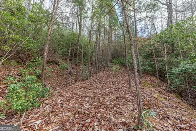 Lot 7 Squirrel Hunting Road, Morganton, GA 30560 - Photo 41