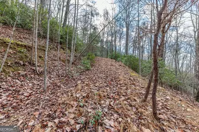 Lot 7 Squirrel Hunting Road, Morganton, GA 30560 - Photo 29
