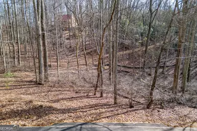 Lot 7 Squirrel Hunting Road, Morganton, GA 30560 - Photo 9