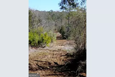 0 Costley Mill Road, Conyers, GA 30013 - Photo 1
