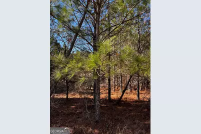 0 Lynntown Road, Collins, GA 30421 - Photo 3