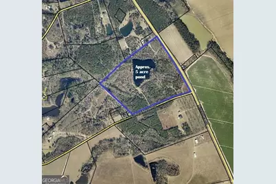 0 Lynntown Road, Collins, GA 30421 - Photo 5