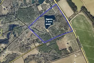 00 Lynntown Rd, Collins, GA 30421 - Photo 1