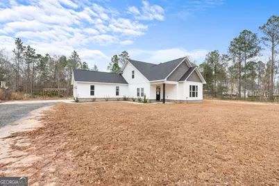 199 Flowers Spur Road NE, Ludowici, GA 31316 - Photo 3