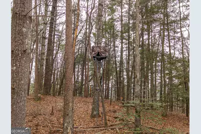 2641 Highway 52 E, Ellijay, GA 30536 - Photo 39