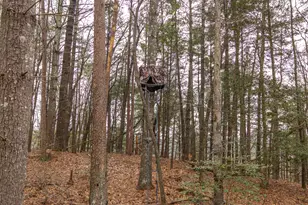 2641 Hwy 52 E, Ellijay, GA 30536 - Photo 39