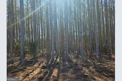 884 Swilling Road, Eastanollee, GA 30538 - Photo 5