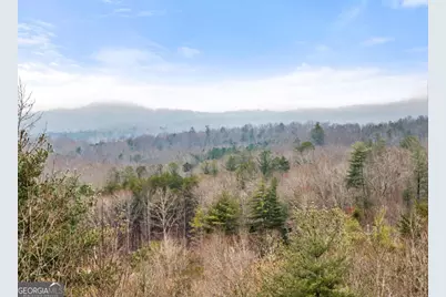 437 Spruce Circle, Mineral Bluff, GA 30559 - Photo 43