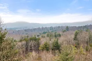 437 Spruce Cir, Mineral Bluff, GA 30559 - Photo 43