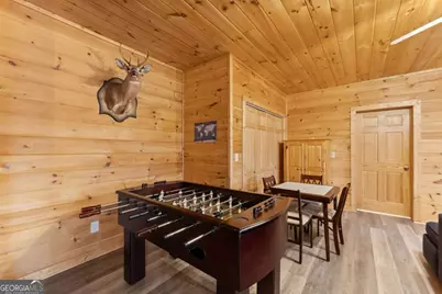 437 Spruce Circle, Mineral Bluff, GA 30559 - Photo 29