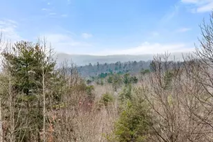 437 Spruce Cir, Mineral Bluff, GA 30559 - Photo 41