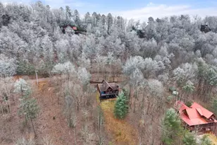 437 Spruce Cir, Mineral Bluff, GA 30559 - Photo 47