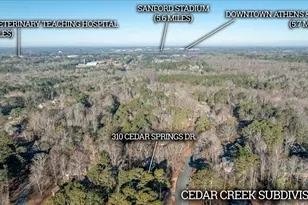 310 Cedar Springs Dr, Athens, GA 30605 - Photo 51